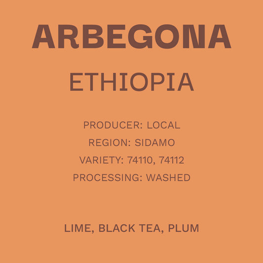 Ethiopia Arbegona - Washing