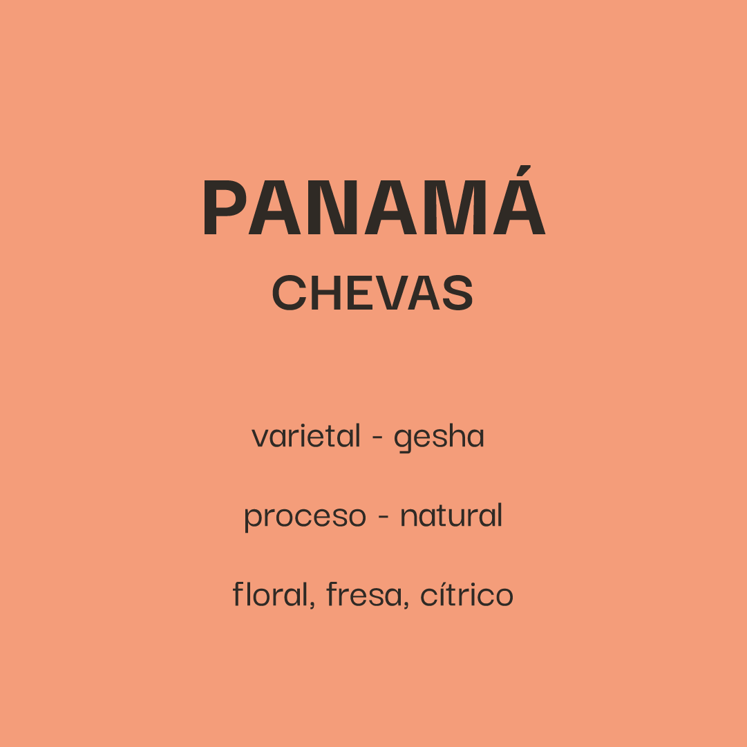 Panama Chevas - Gesha Natural