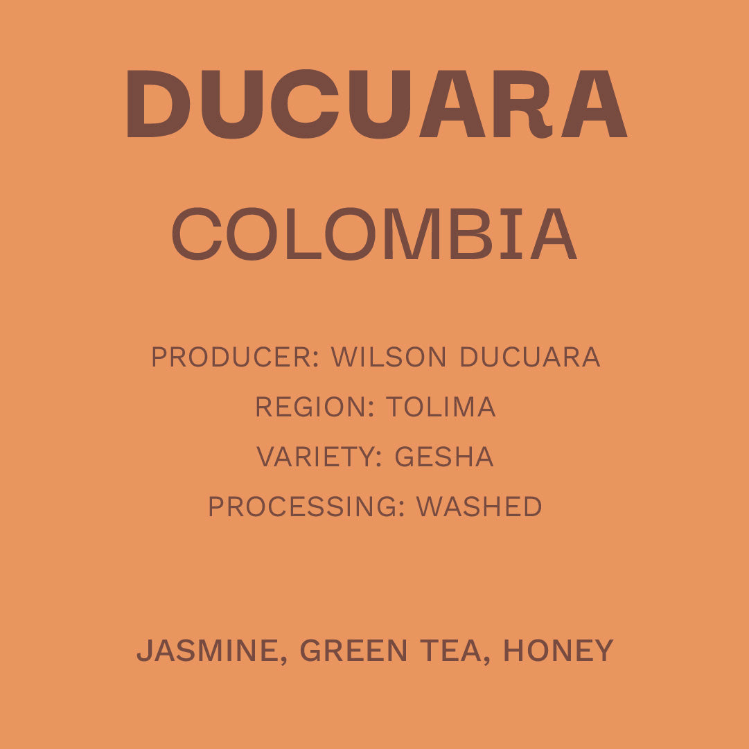 Colombia Ducuara - Gesha Lavado