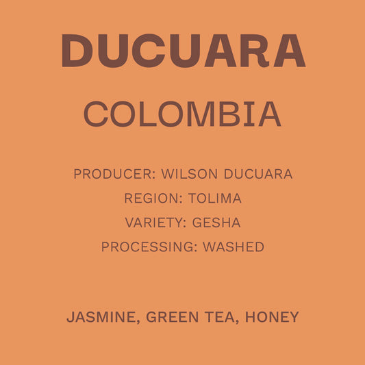 Colombia Ducuara - Gesha Lavado