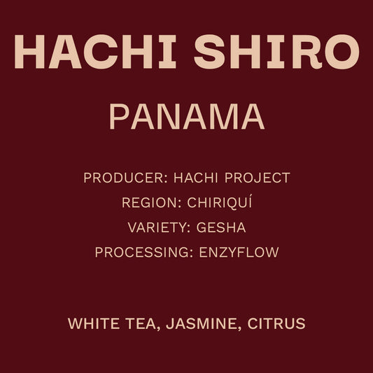 Panama - Hachi