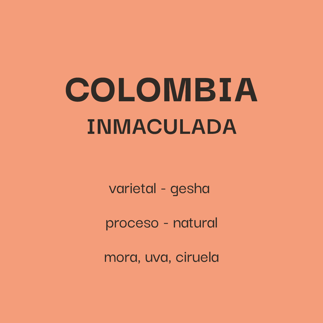 Colombia Inmaculada - Gesha Natural