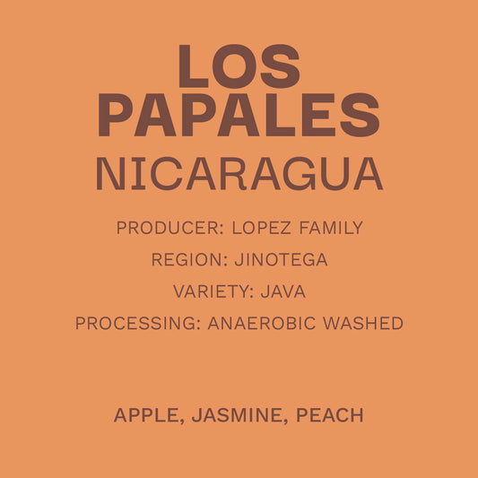 Nicaragua Los Papales - Anaerobic Washed