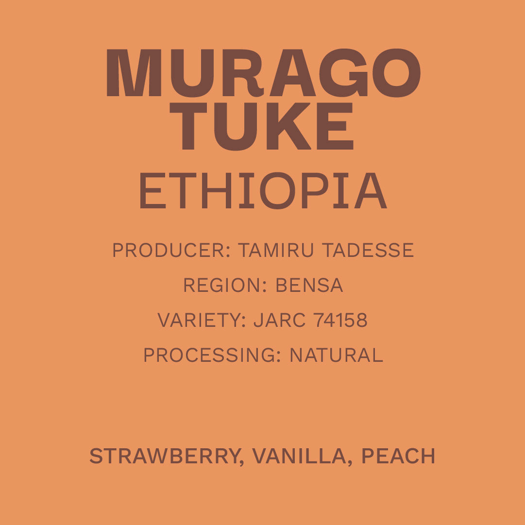 Ethiopia Murago Tuke - Natural