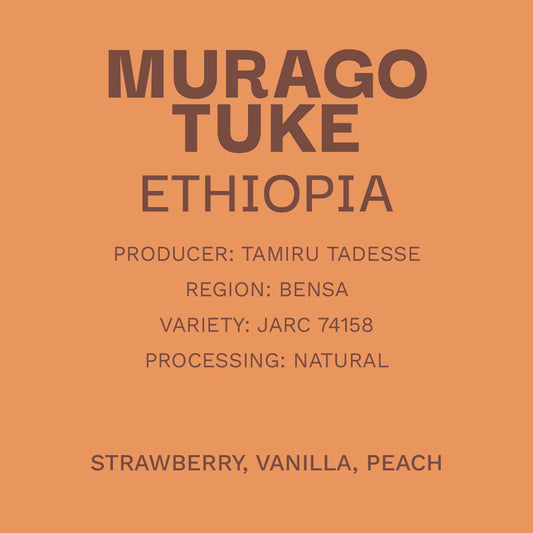 Ethiopia Murago Tuke - Natural