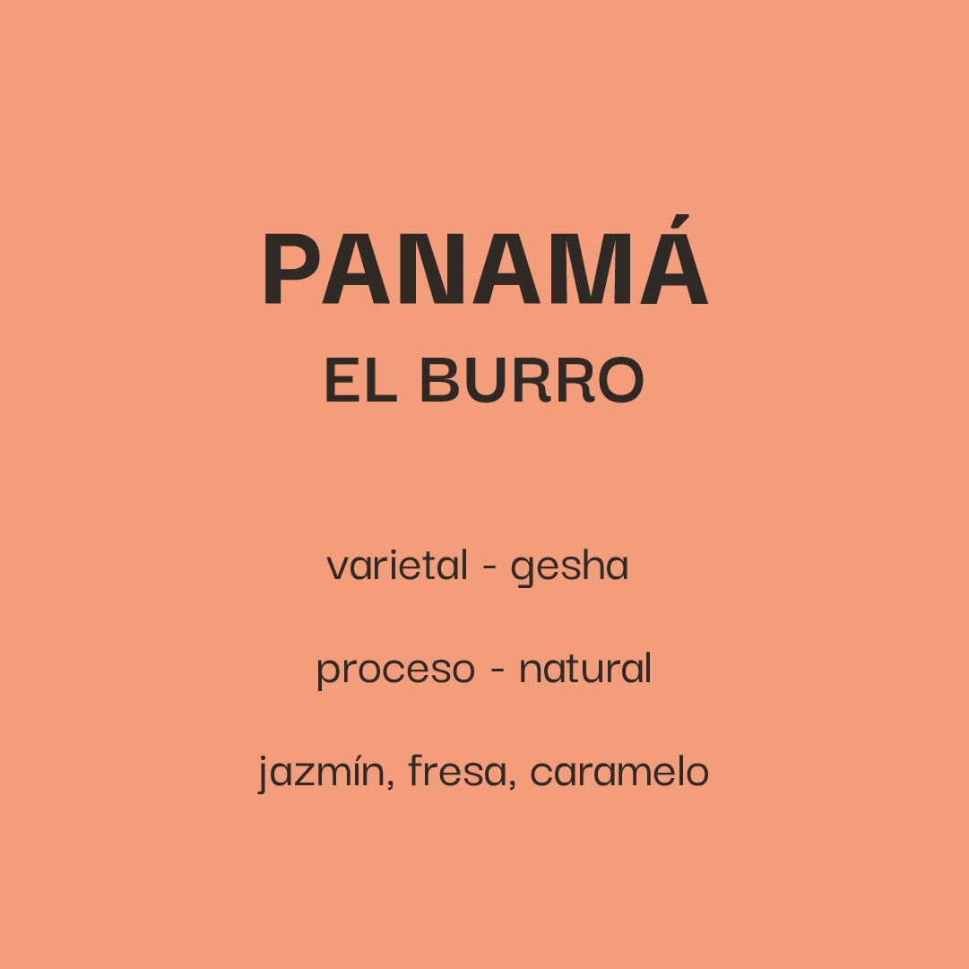 Panamá El Burro - Gesha Natural