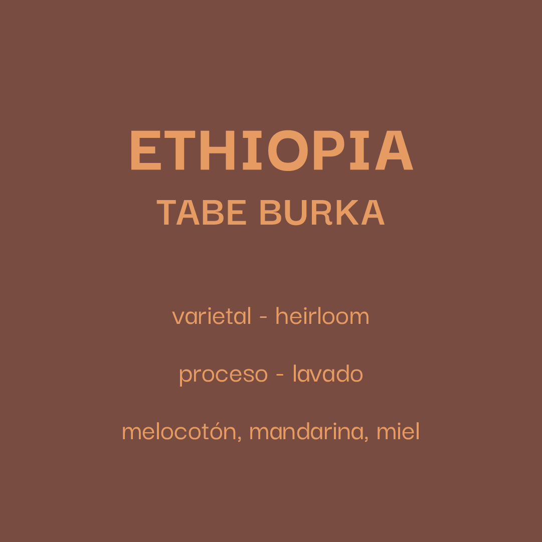 Ethiopia - Tabe Burka Lavado