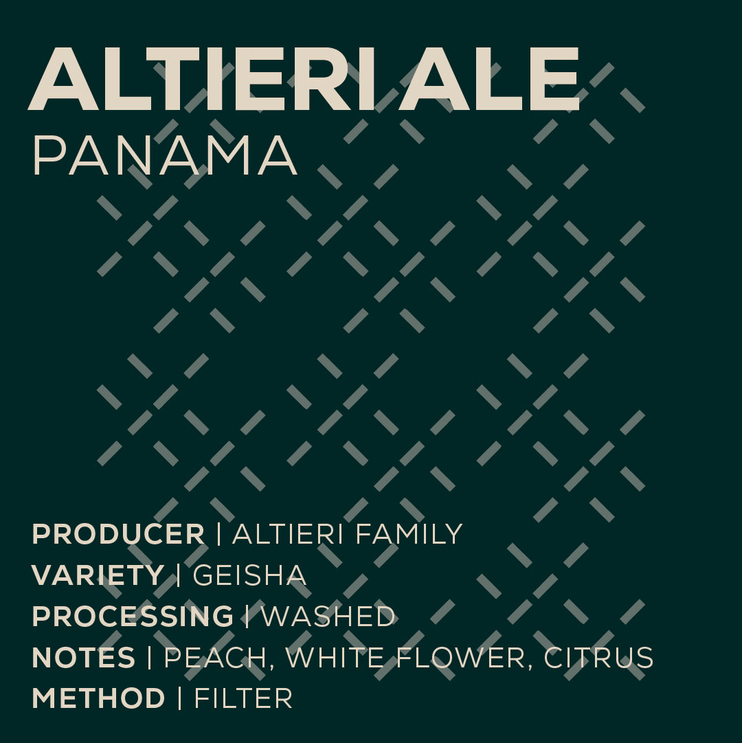 Panama Altieri ALE - Lavado-thumbmail-2