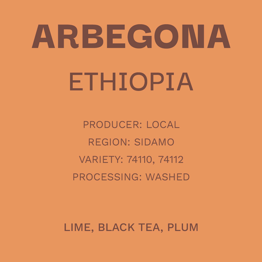 Ethiopia Arbegona - Washing