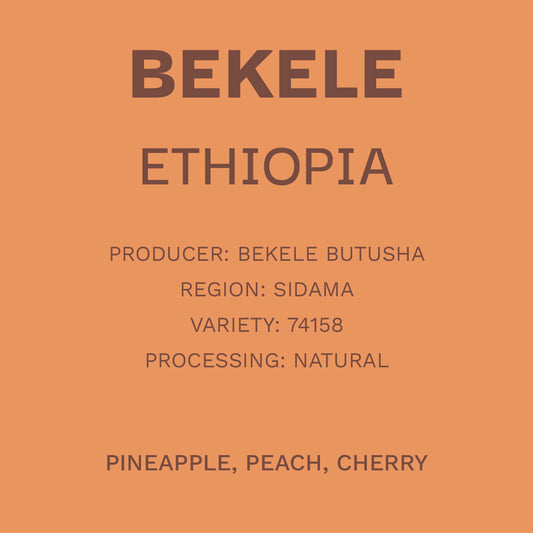 Ethiopia - Basha Bekele
