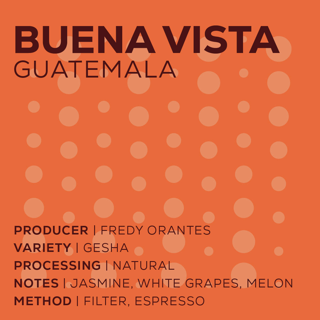 Guatemala Buena Vista - Natural-thumbmail-2