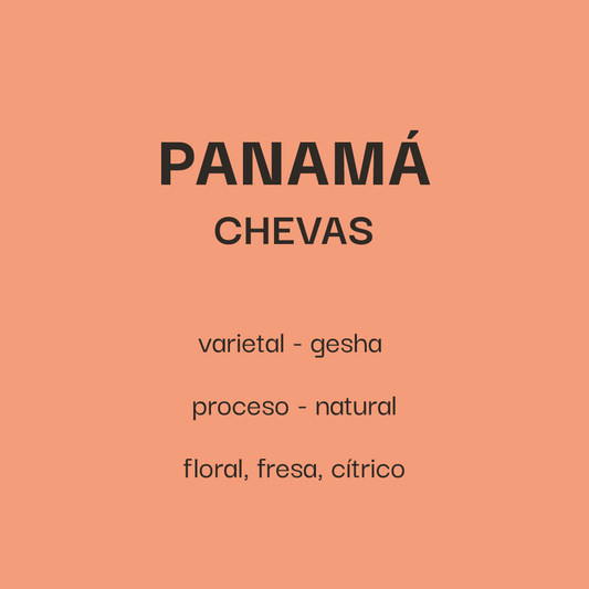 Panama Chevas - Gesha Natural