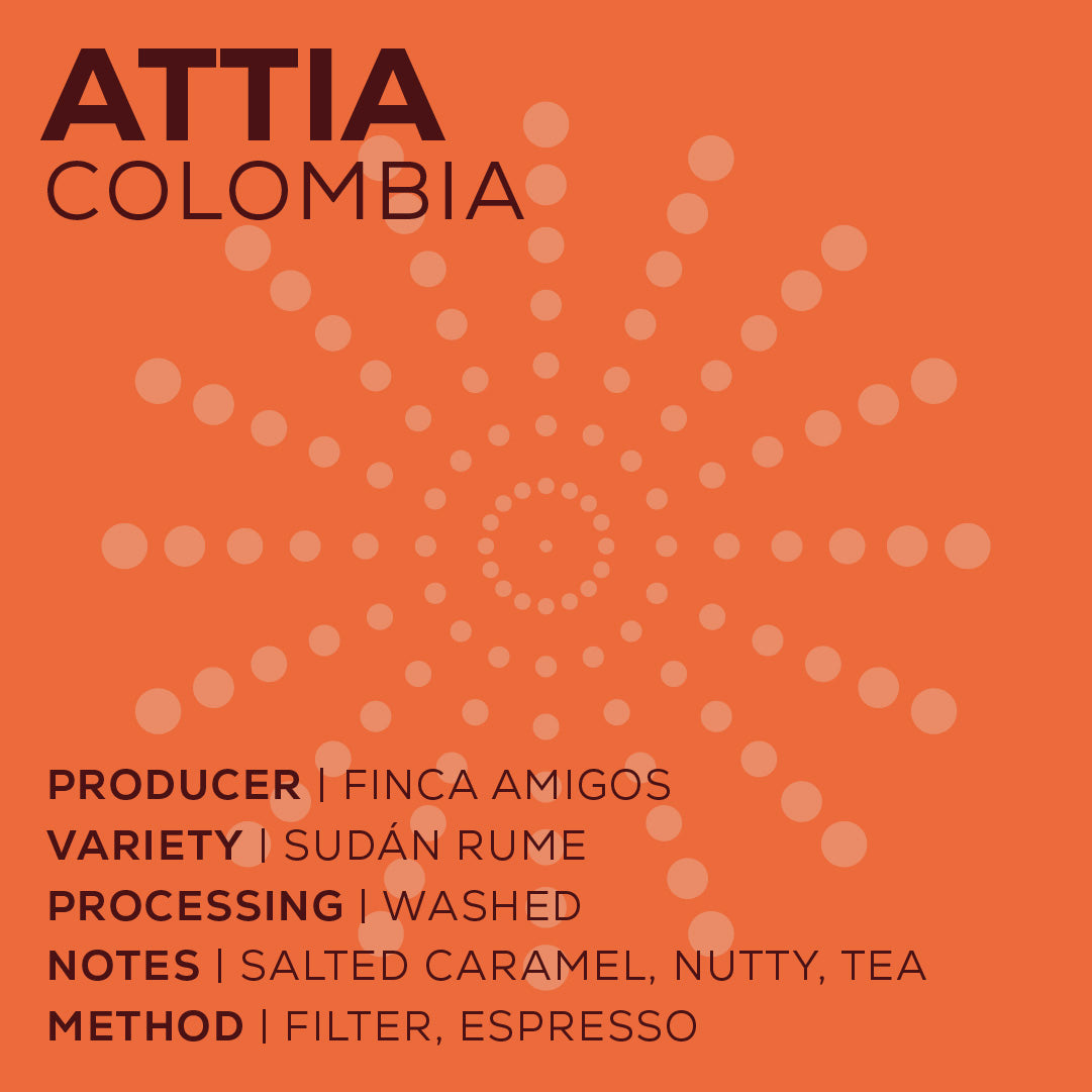 Colombia Attia - Lavado-thumbmail-2