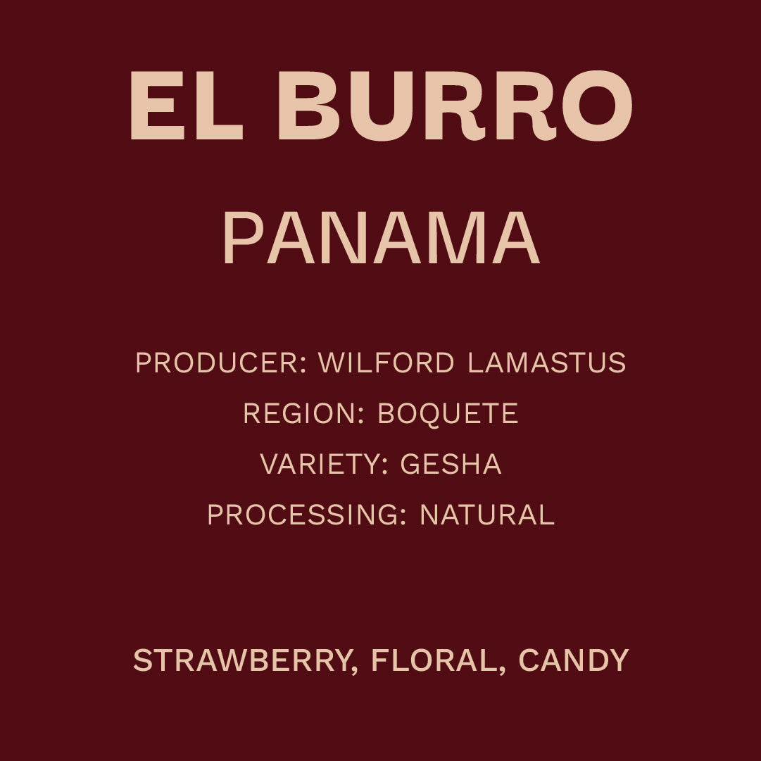 Panamá El Burro - Gesha Natural