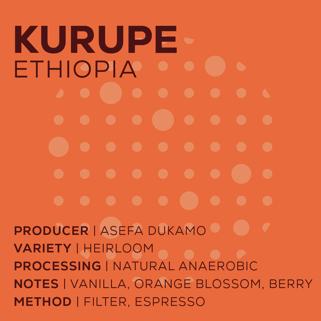 Ethiopia Kurupe - Natural Anaeróbico-thumbmail-2