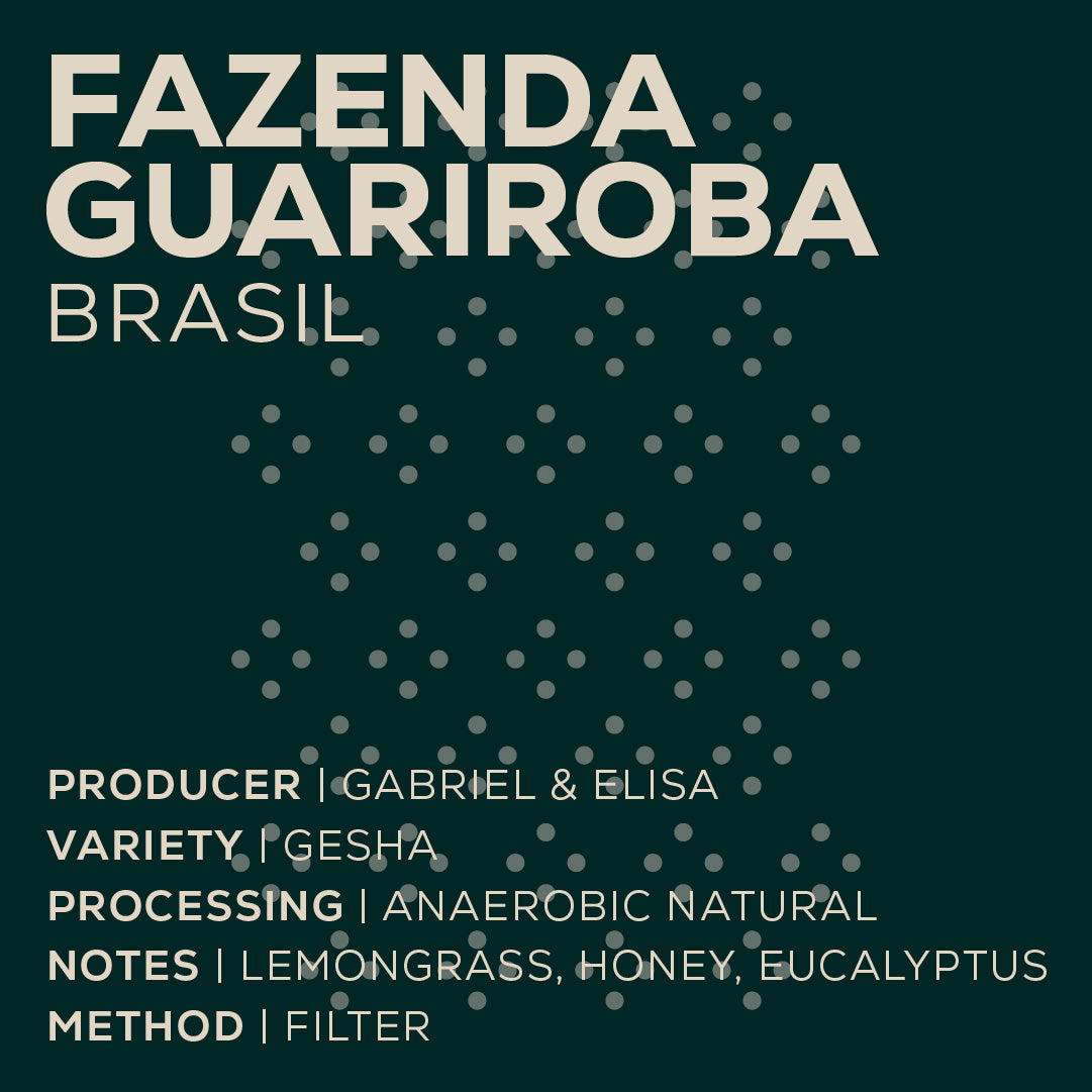 Brasil Fazenda Guariroba - Gesha-thumbmail-2