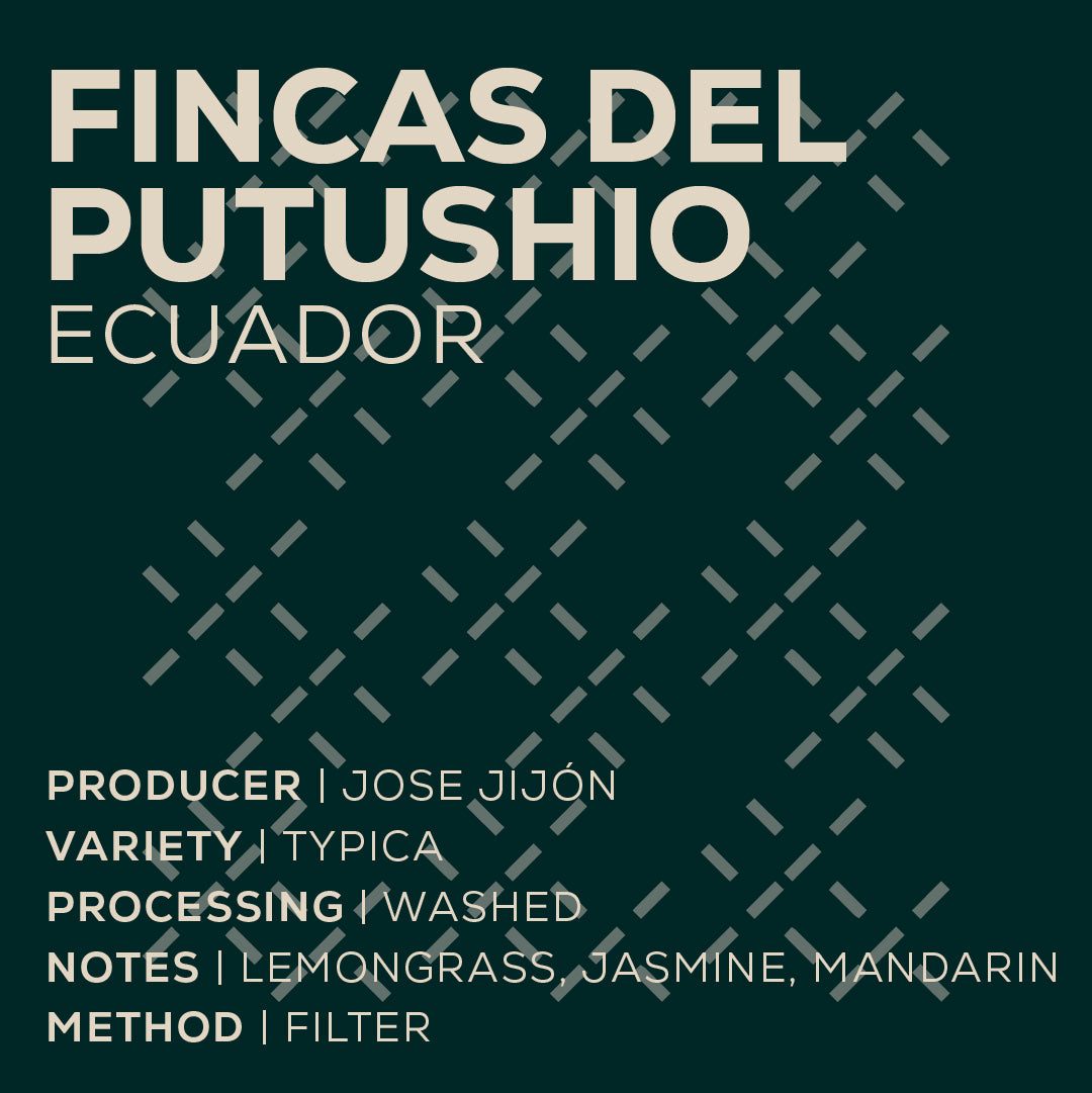 Ecuador Jose Jijón - Typica Mejorado-thumbmail-2