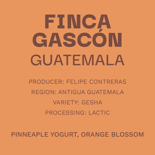 Guatemala Gesha Láctico - Natural