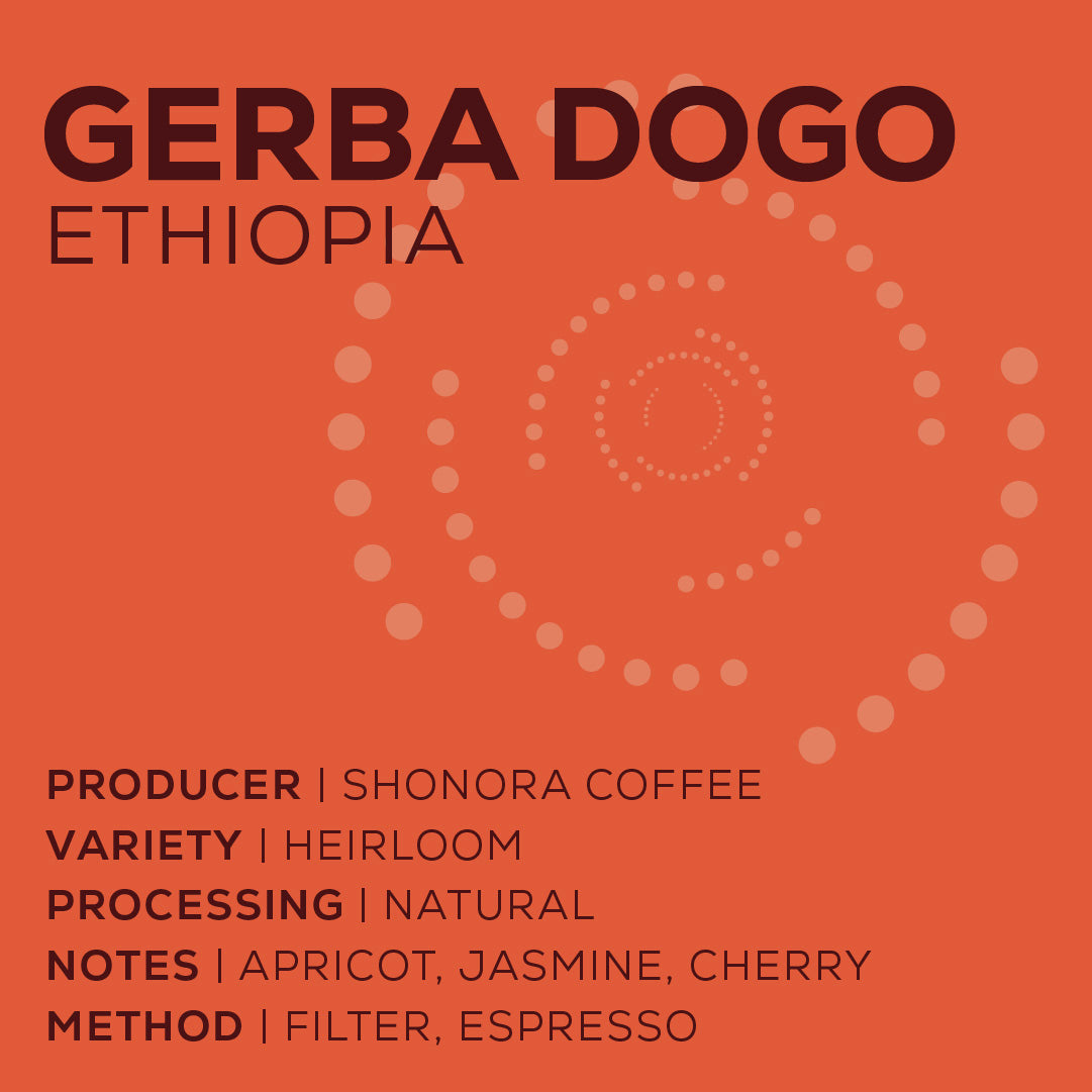 Ethiopia Gerba Dogo - Natural