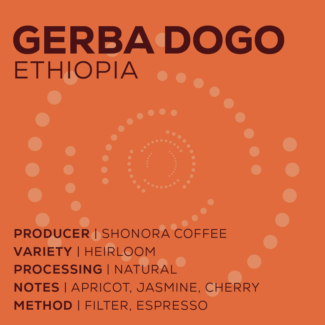 Ethiopia Gerba Dogo - Natural-thumbmail-2