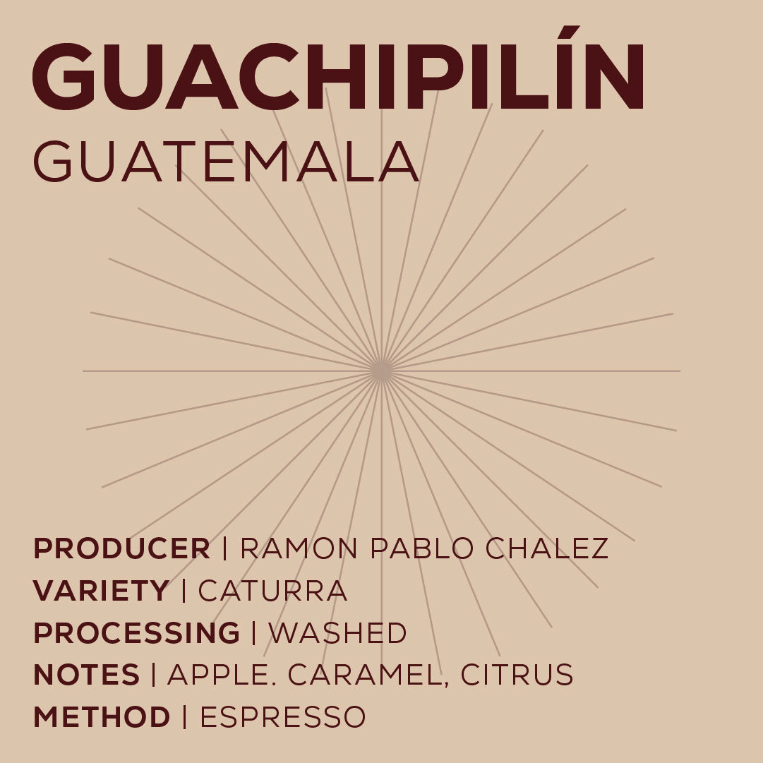 Guatemala El Guachipilin - Washed-thumbmail-2