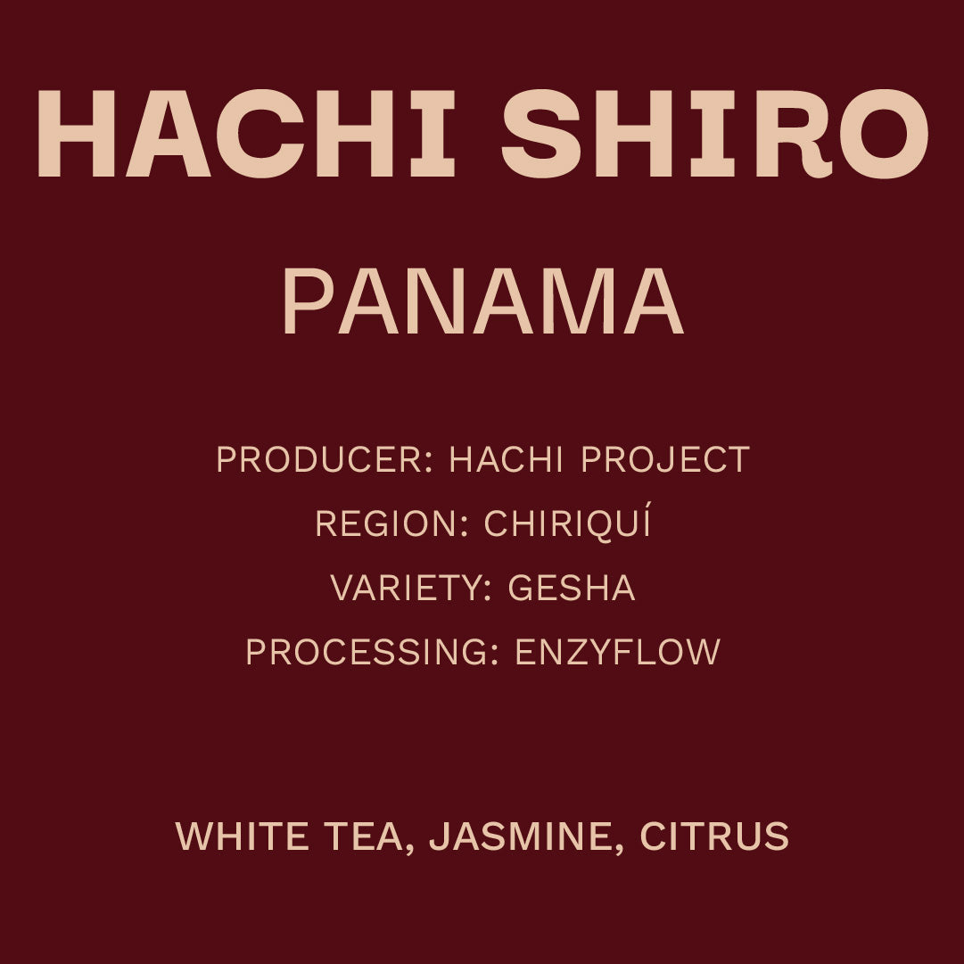 Panamá - Hachi