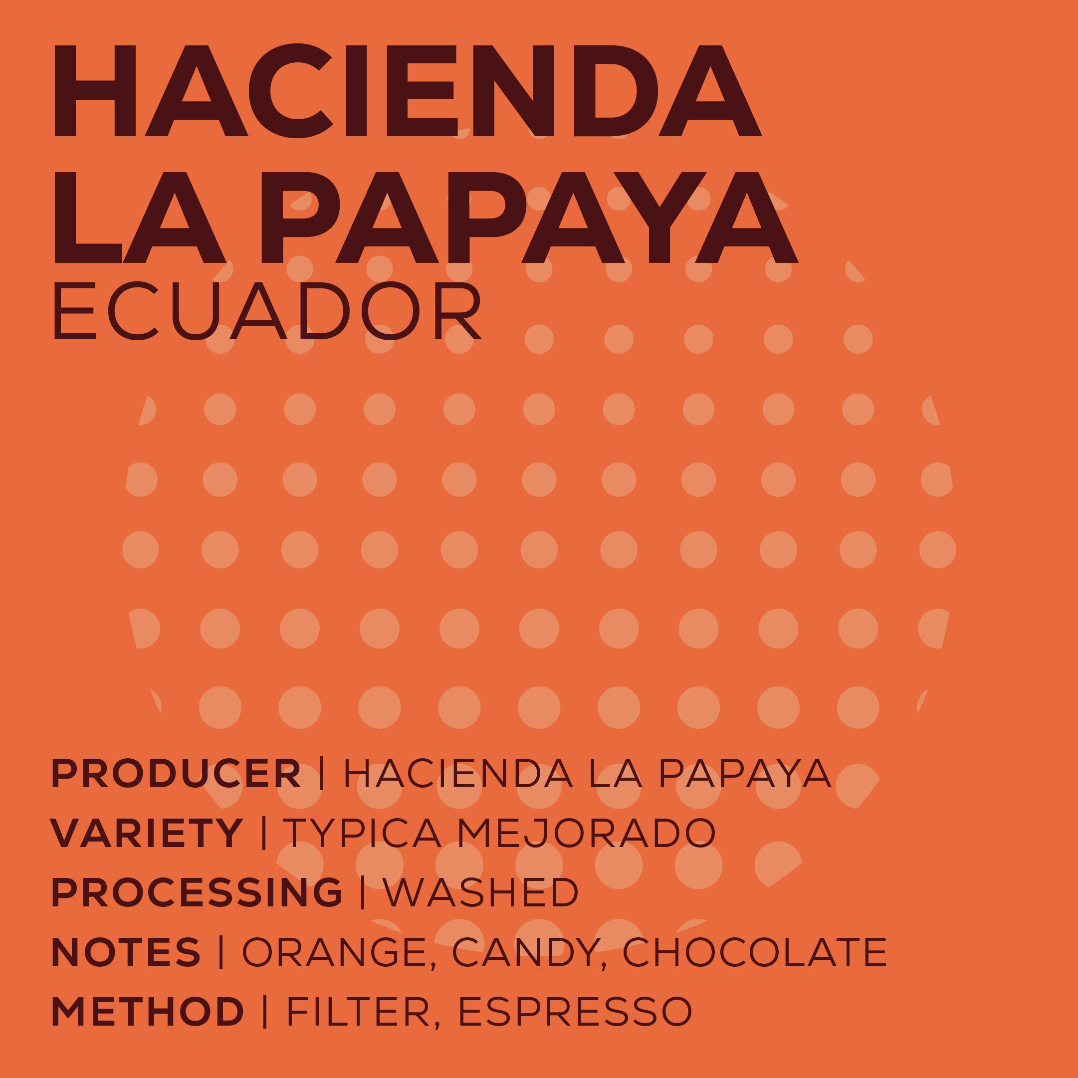 Ecuador Hacienda La Papaya - Lavado-thumbmail-2