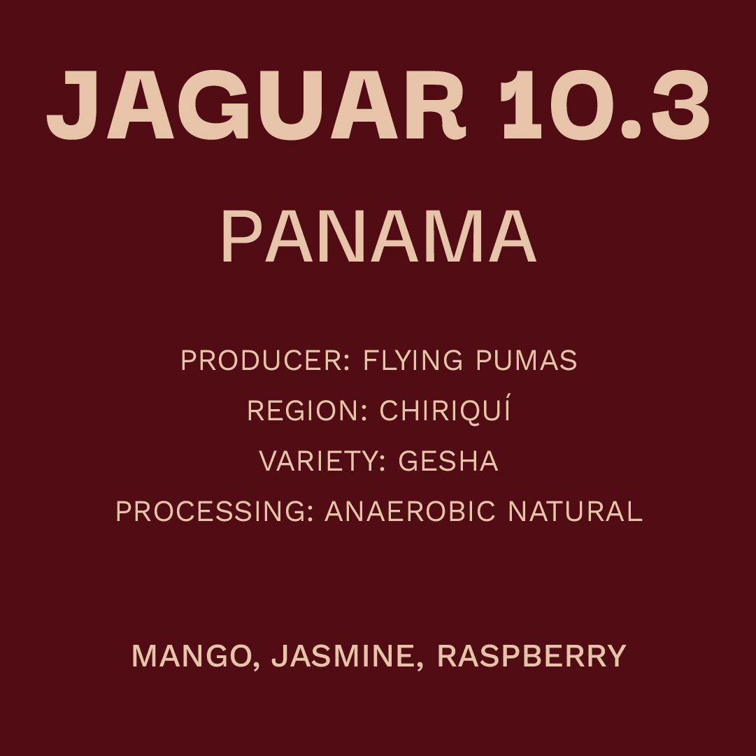 Panamá - Flying Pumas Jaguar