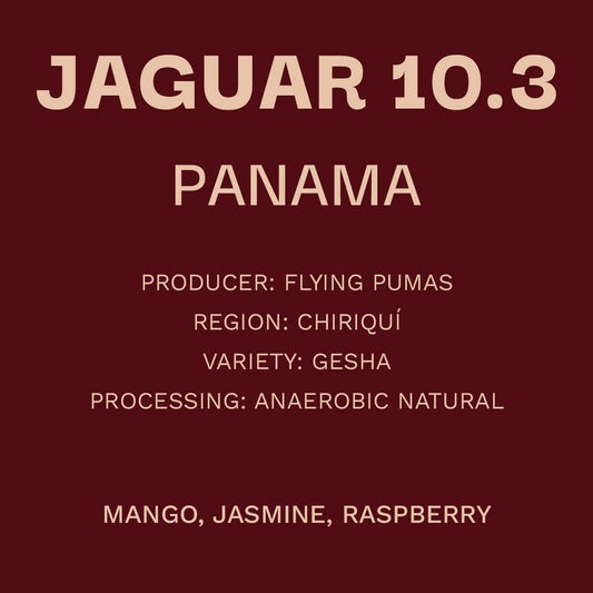 Panamá - Flying Pumas Jaguar