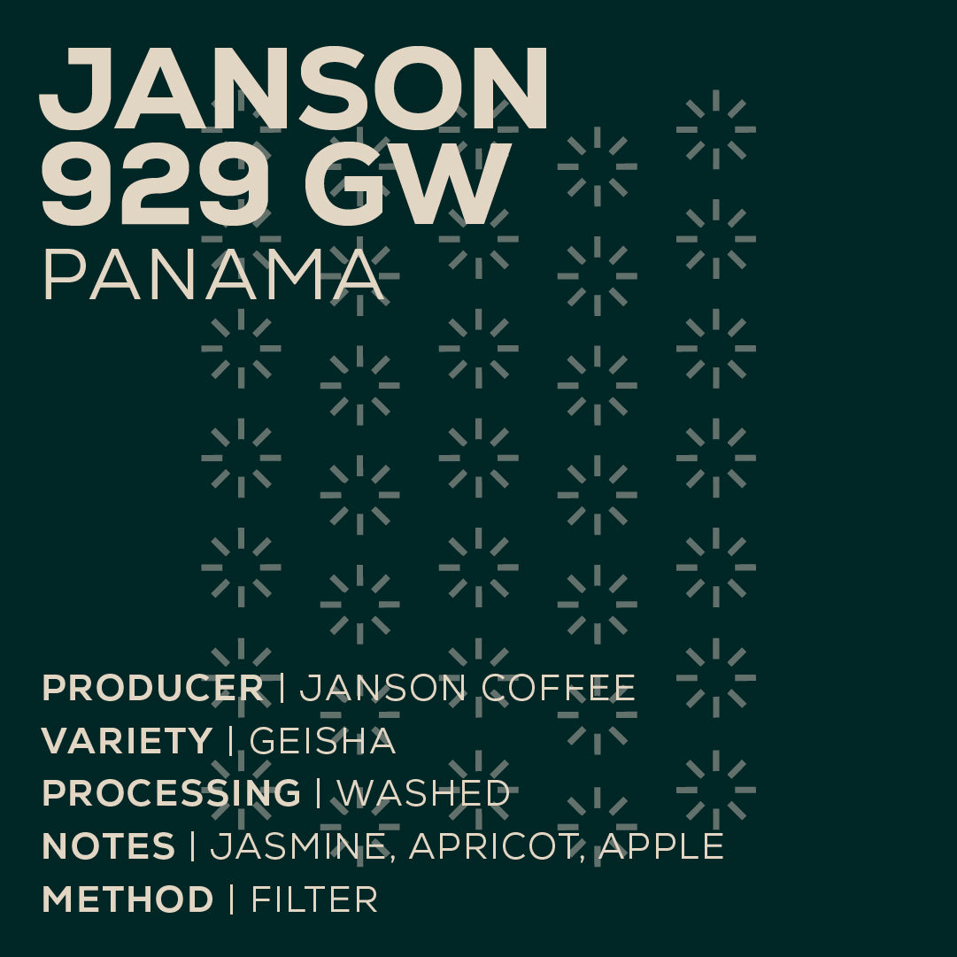 Panama Janson 929 - Washed-thumbmail-2