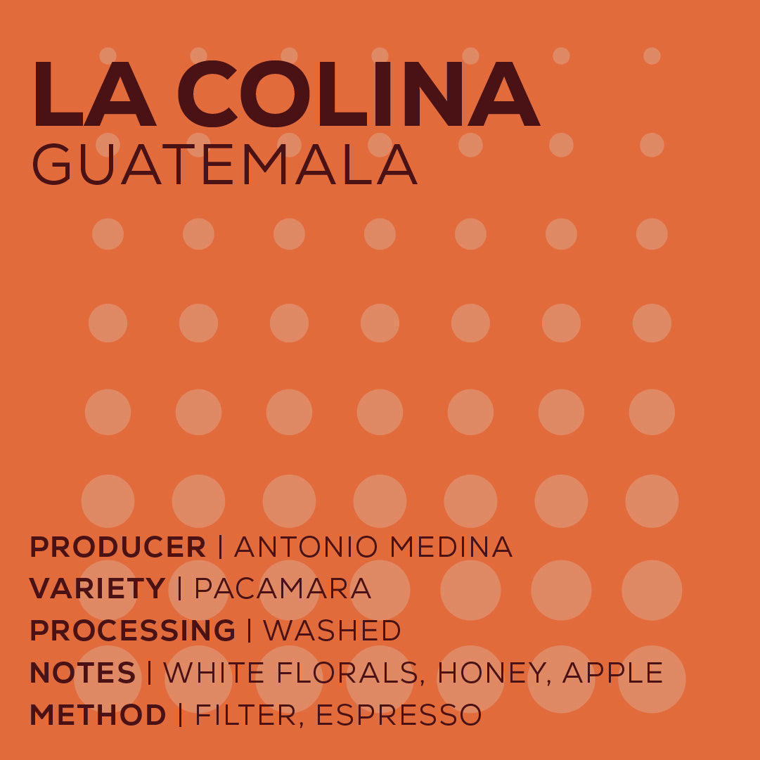 Guatemala La Colina - Lavado-thumbmail-2