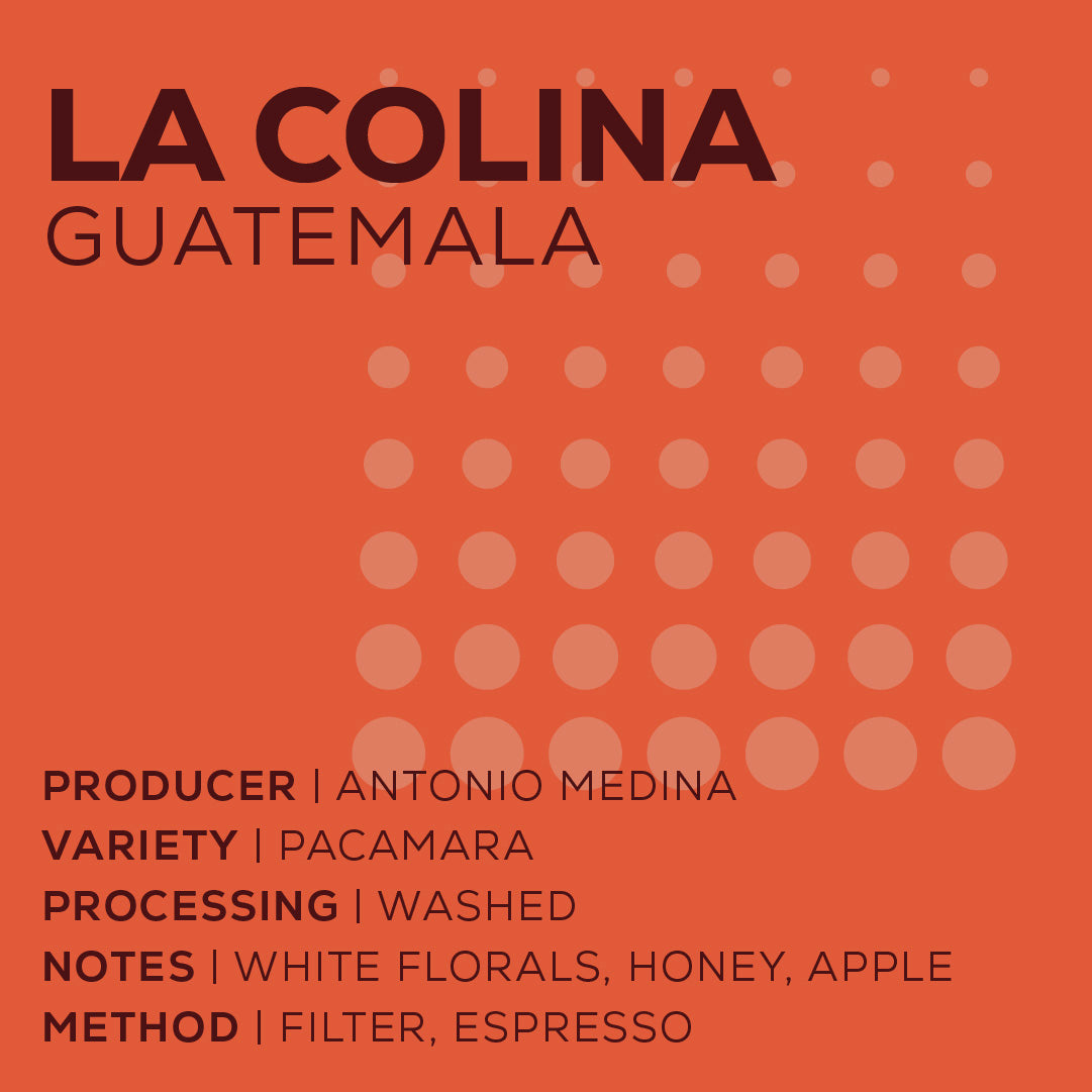 Guatemala La Colina - Washed-thumbmail-2