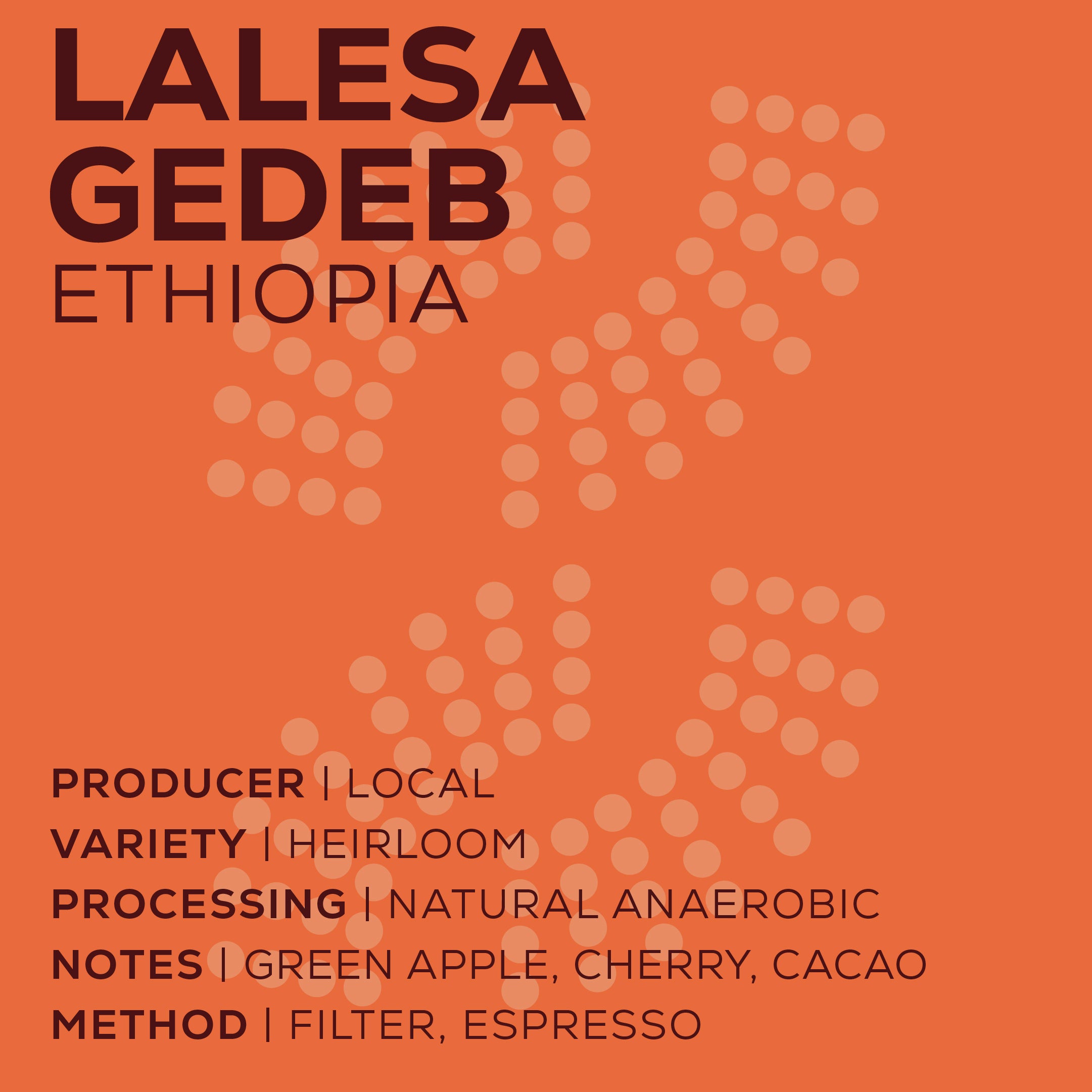 Ethiopia Lalesa Gedeb - Natural anaerobico-thumbmail-2