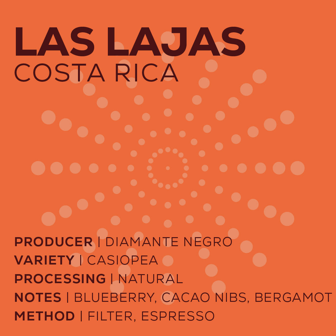 Costa Rica Las Lajas - Natural-thumbmail-2