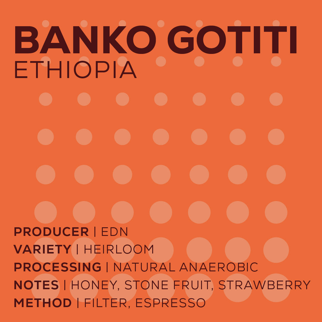 Ethiopia Banko Gotiti - Natural Anaerobic-thumbmail-2