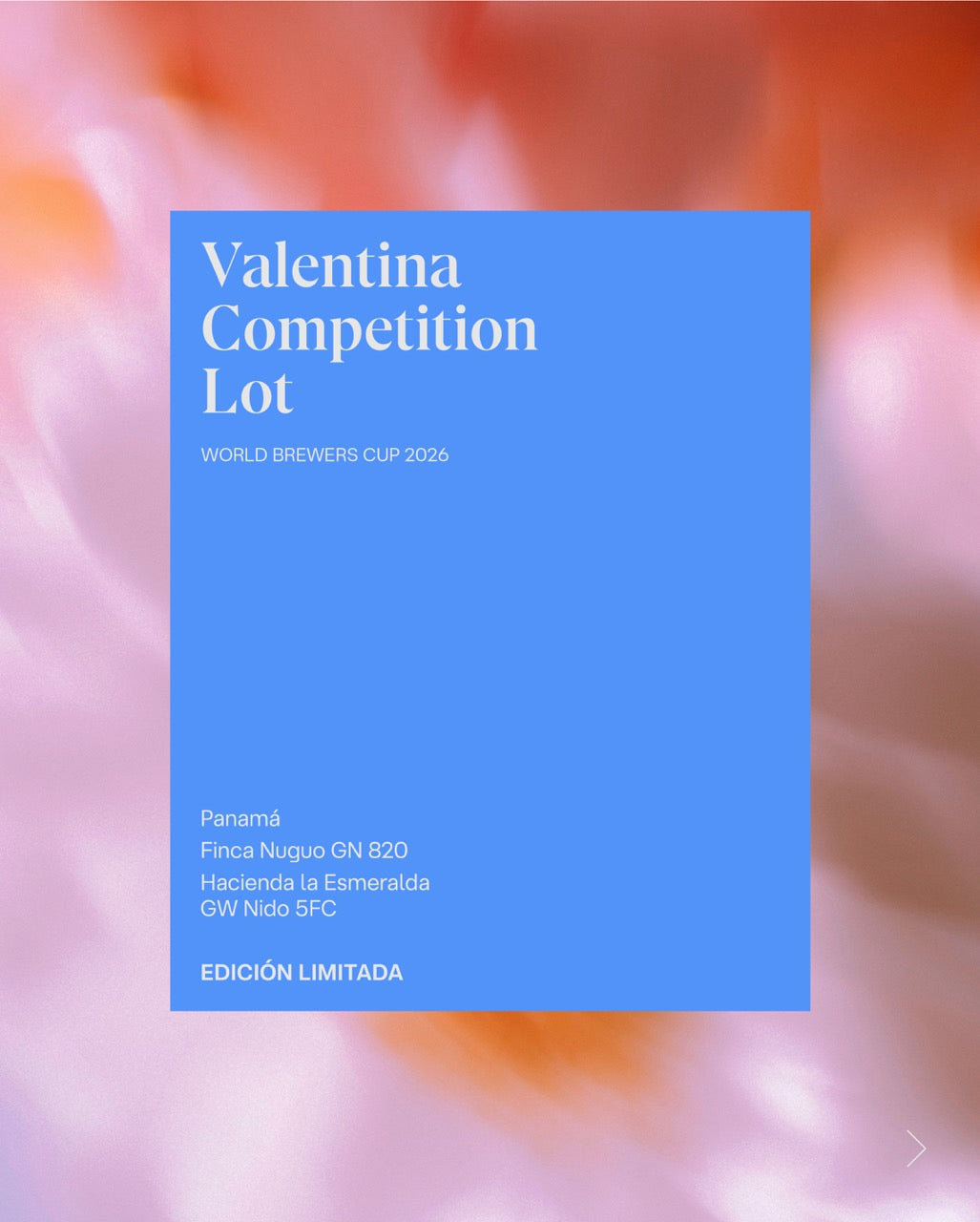 Valentina WBrCup 2026 - Competition Lot-thumbmail-1