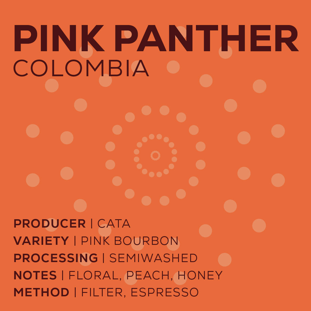 Colombia Pink Panther - Semi Washed-thumbmail-2