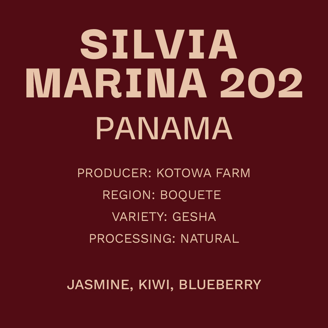 Panama Finca Kotowa - Natural