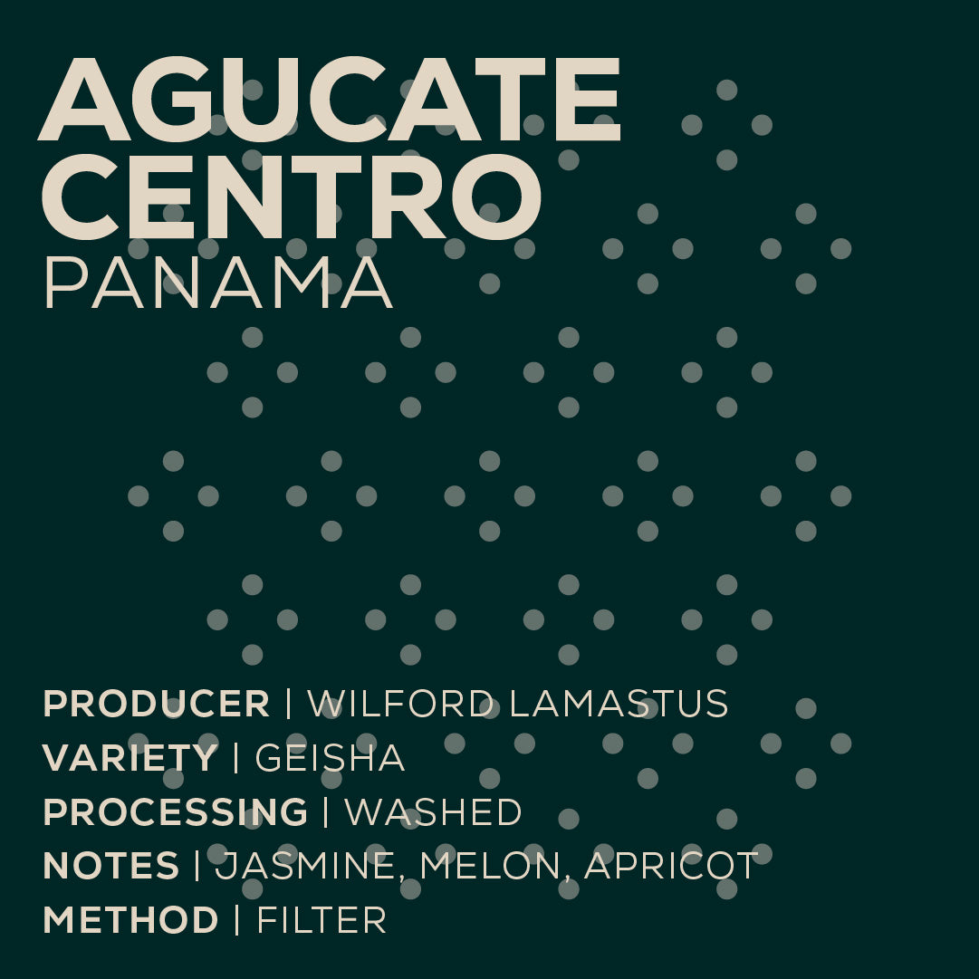 Panamá Wilford Lamastus - Aguacate Centro-thumbmail-2