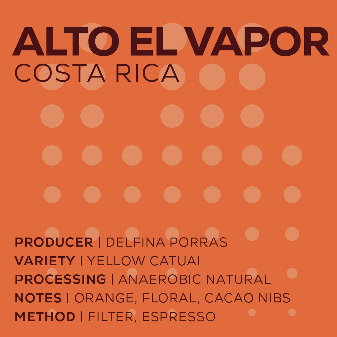Costa Rica Finca Alto el Vapor - Natural Anaeróbico-thumbmail-2
