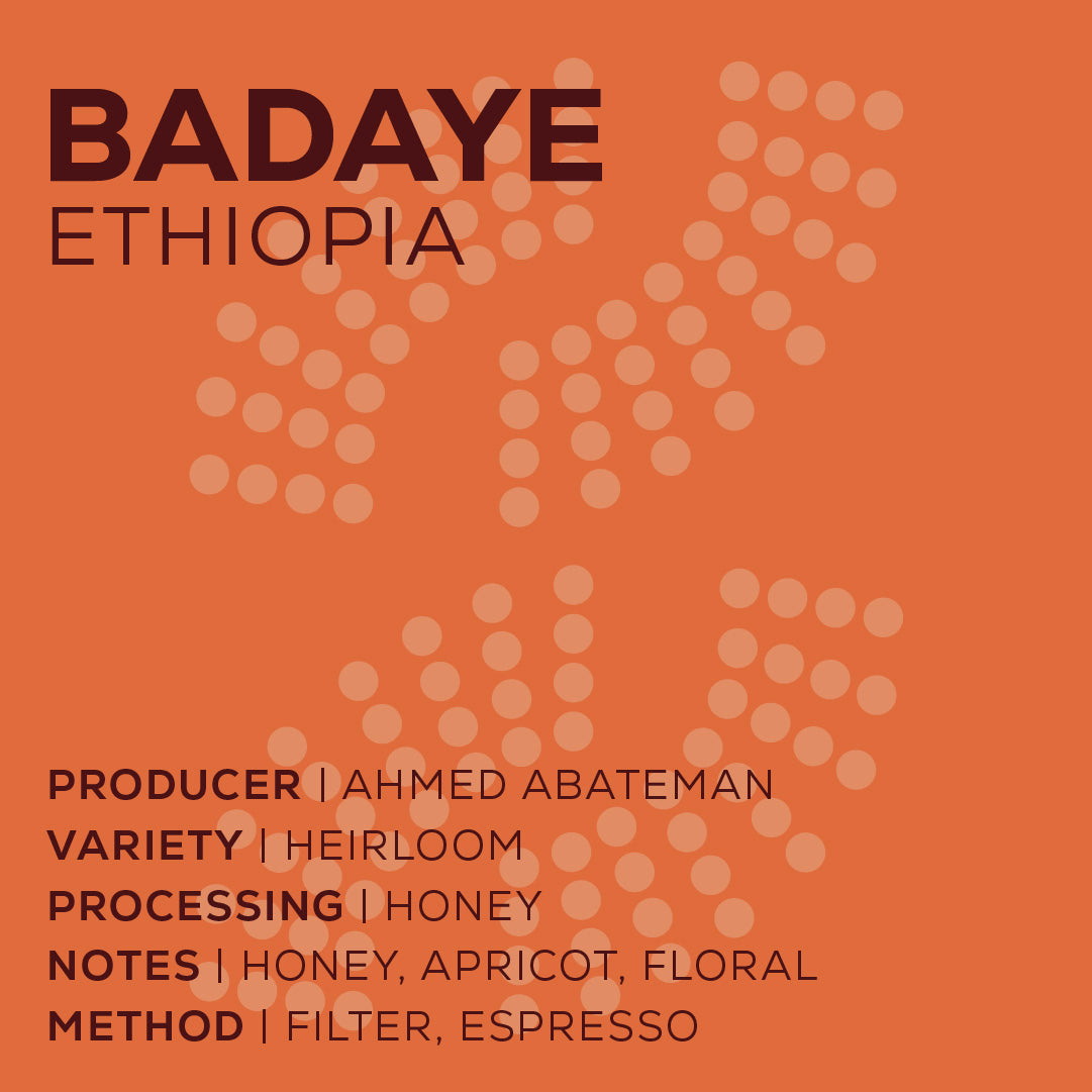 Ethiopia Badaye - Honey-thumbmail-2