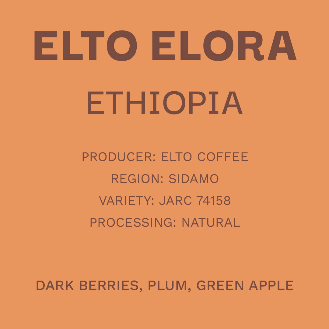 Ethiopia Elto Elora - Natural