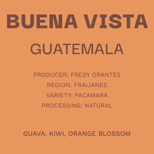 Guatemala Buena Vista - Natural