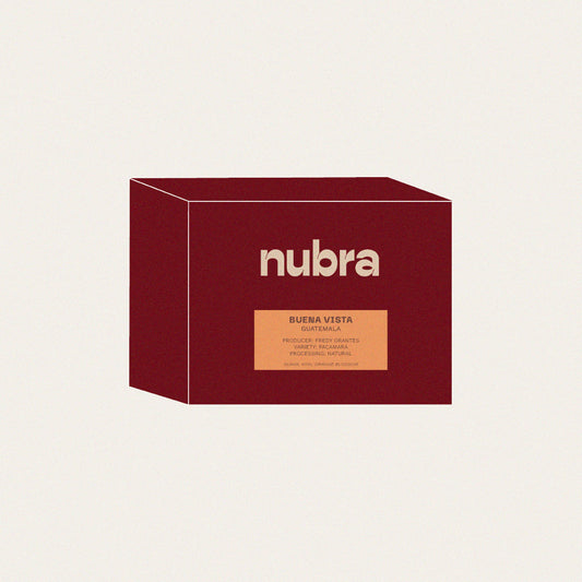Guatemala Buena Vista - Natural