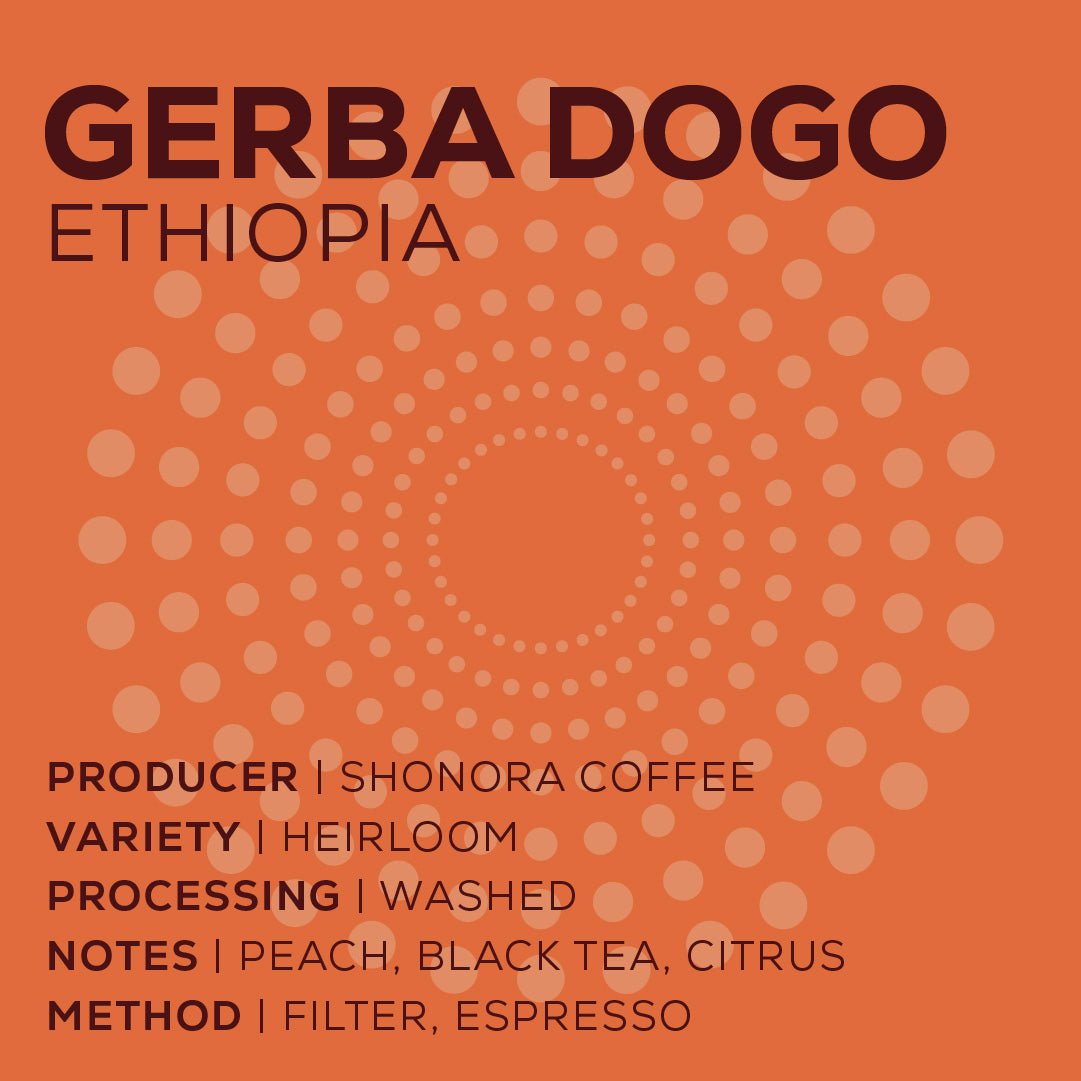 Ethiopia Gerba Dogo - Lavado-thumbmail-2