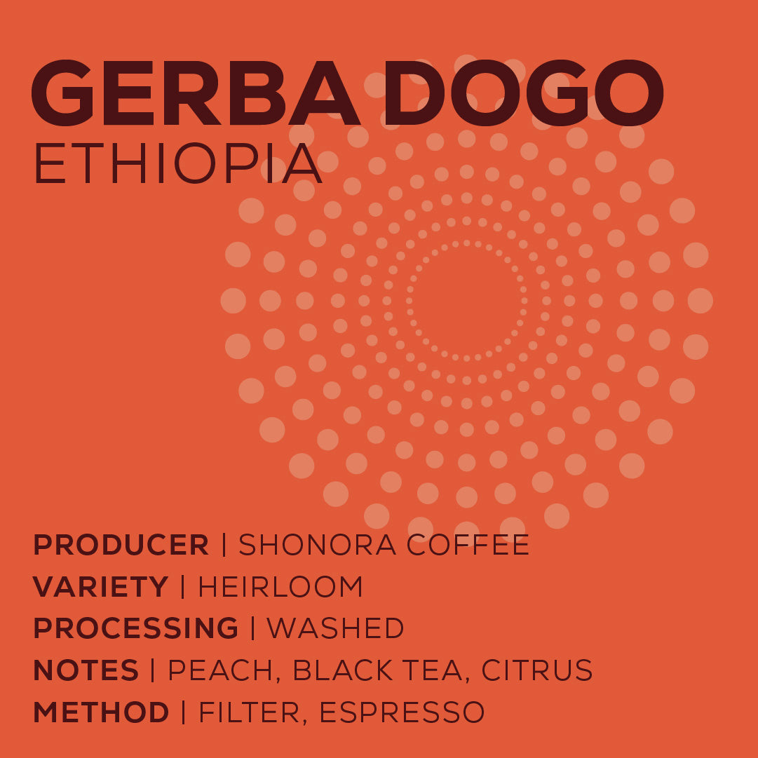 Ethiopia Gerba Dogo - Lavado-thumbmail-2