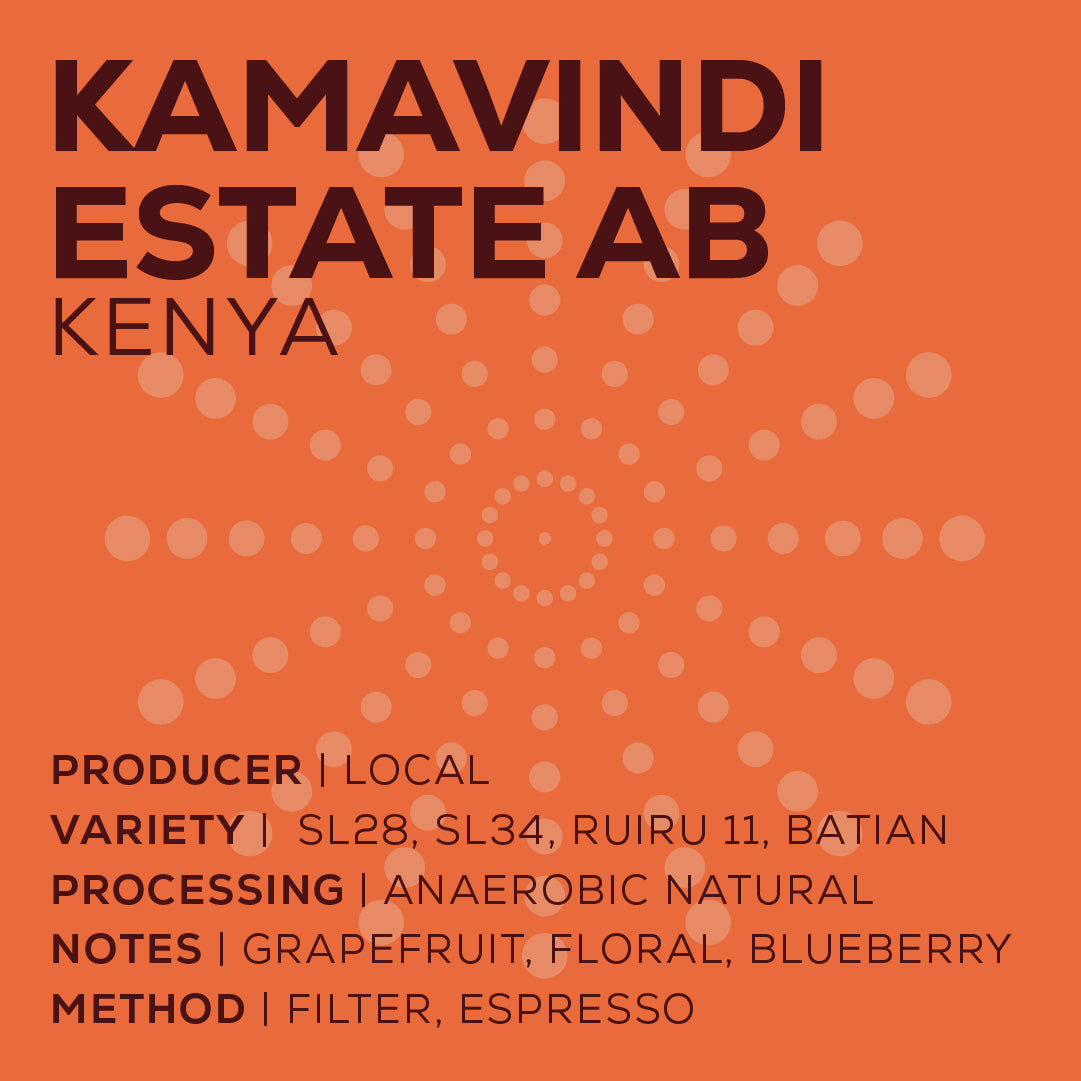 Kenya Kamavindi - Washed-thumbmail-2