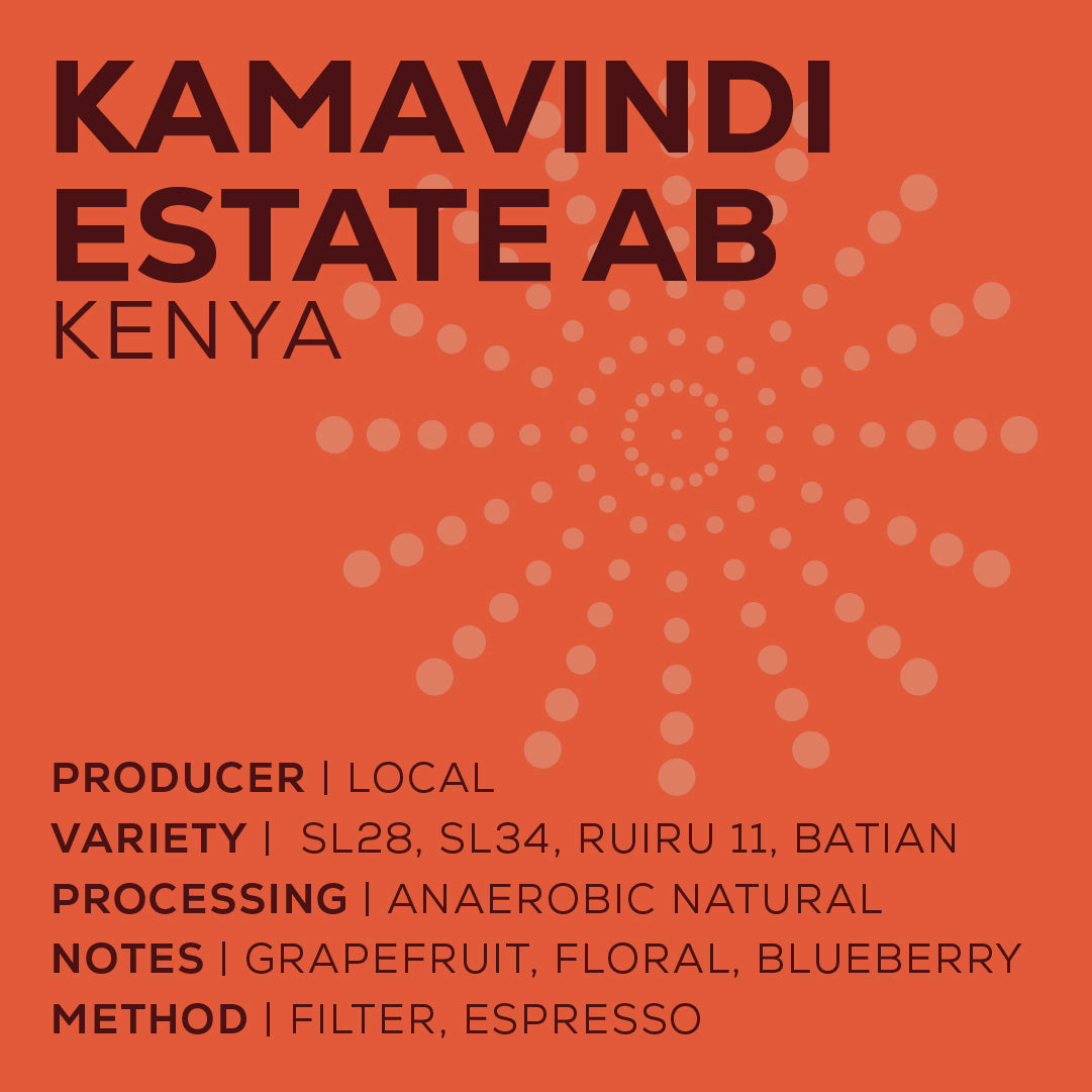 Kenya Kamavindi - Lavado