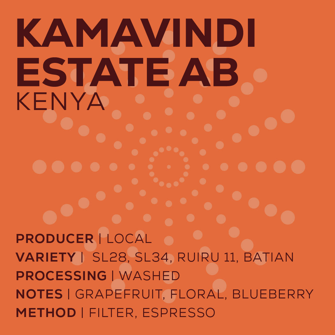 Kenya Kamavindi - Washed-thumbmail-2