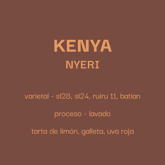 Costa Rica SL28 - Washing